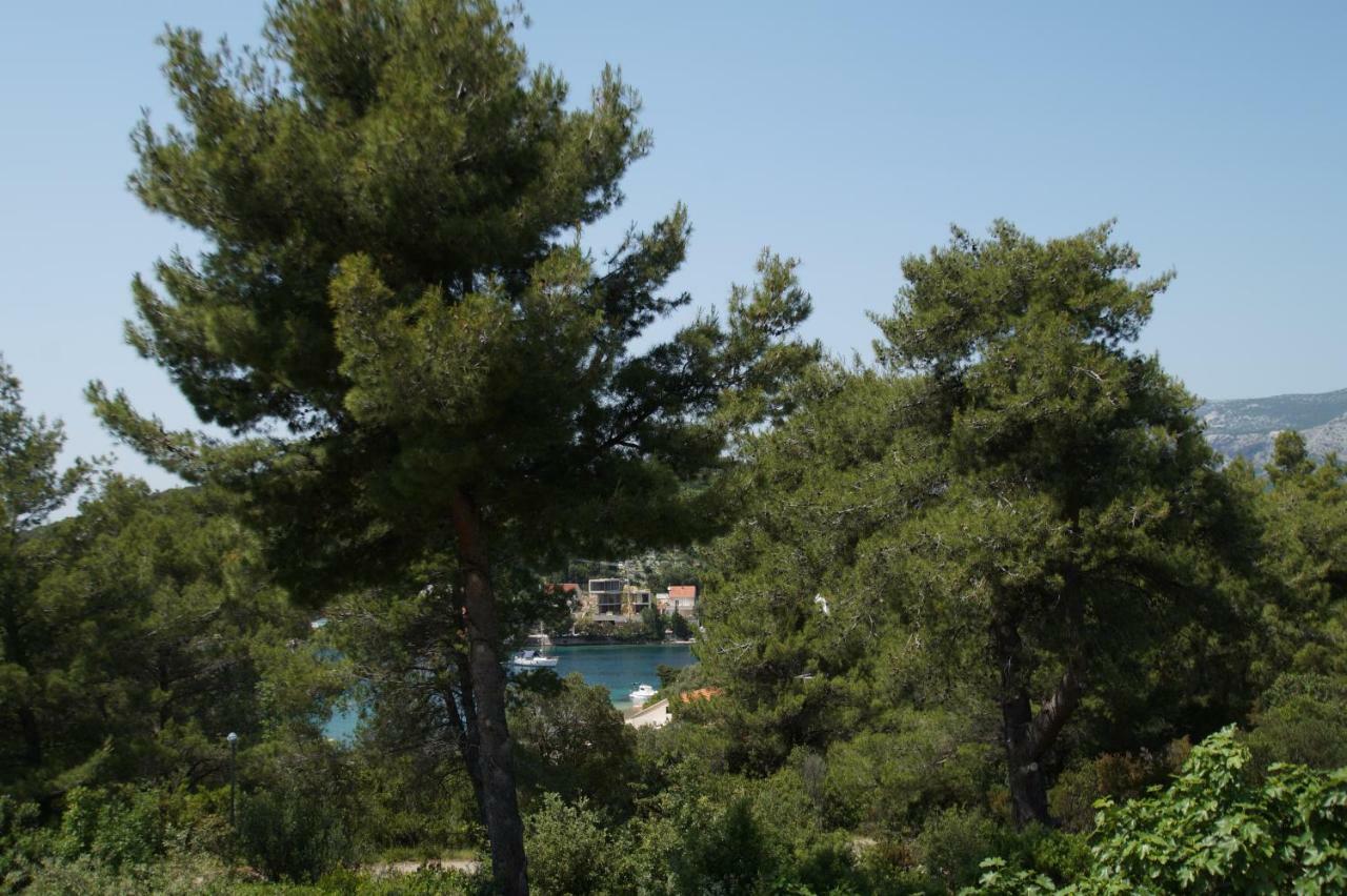 Vita Apartments Zrnovo Luaran gambar